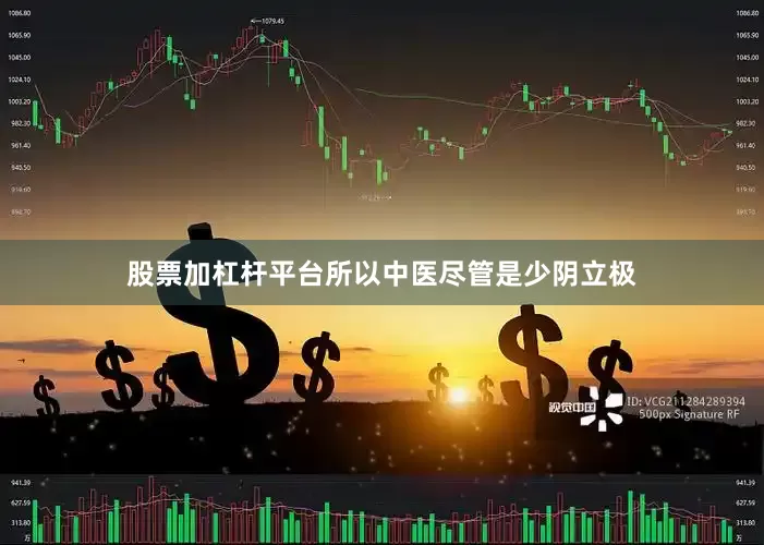 股票加杠杆平台所以中医尽管是少阴立极