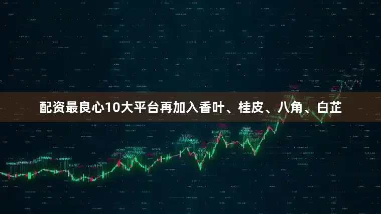 配资最良心10大平台再加入香叶、桂皮、八角、白芷